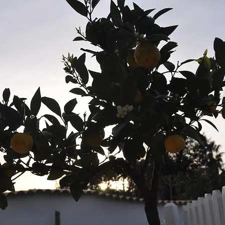 Number9 Fregene Bed & Breakfast Fiumicino